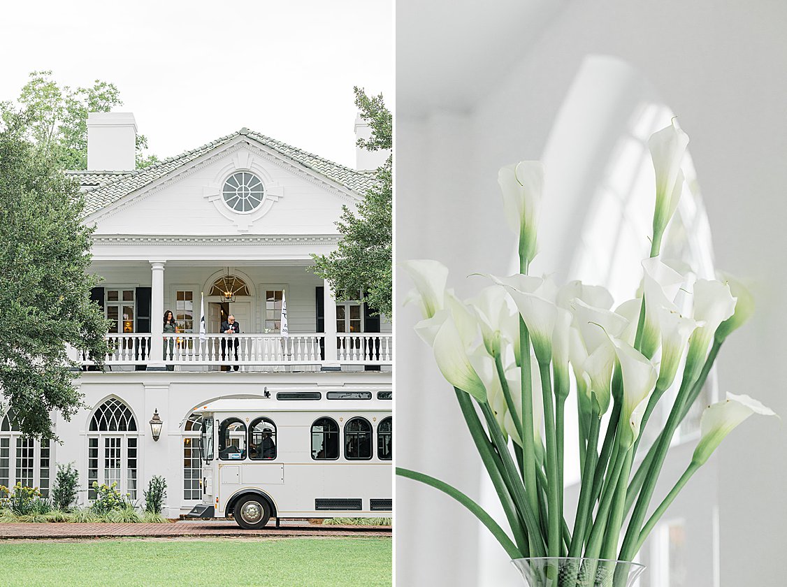 Romantic couple portraits on the grounds of Lowndes Grove in Charleston SC